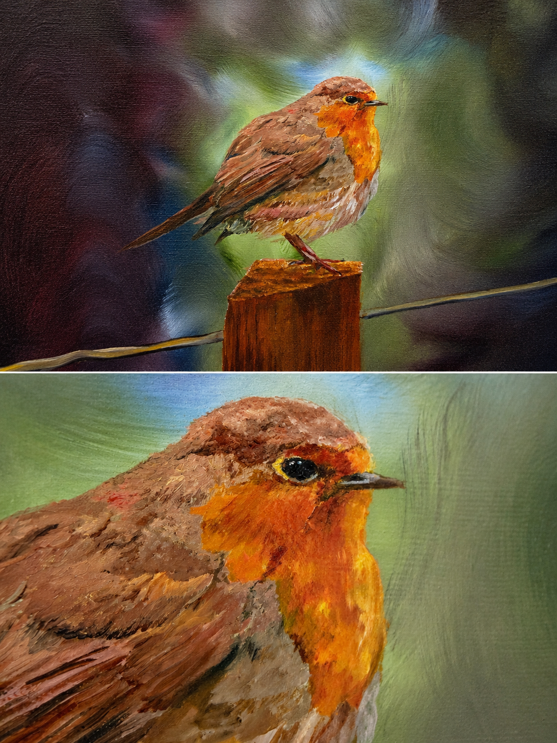 Robin's Visit